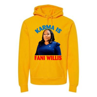 Karma Is Fani Willis Premium Hoodie