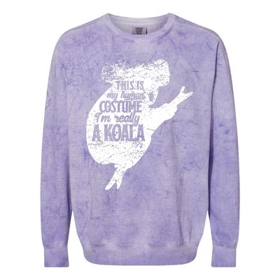 Koala Is My Human Costume Love Australian Koalas Kids Colorblast Crewneck Sweatshirt