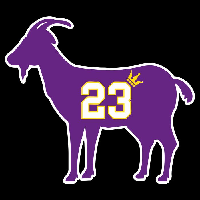 King LA Bron The Goat 23 Basketball 16 in Basic Backpack