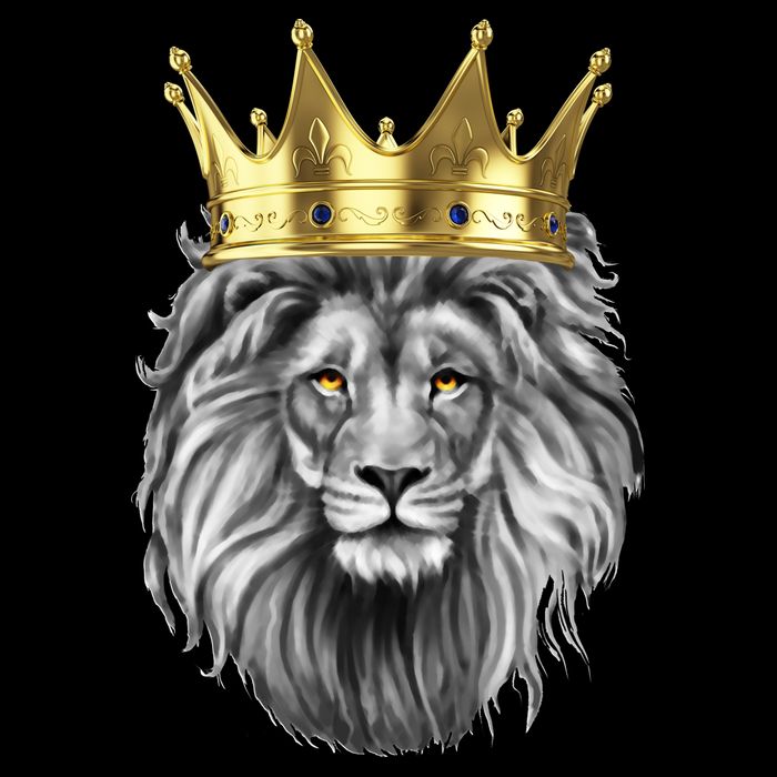 King Of Lions Stripe Pom Pom Beanie