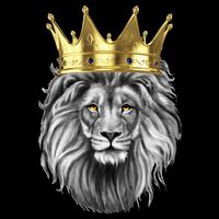 King Of Lions Impact Tech Backpack