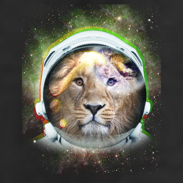 King Of The Universe Lion Space Astronaut Helmet Beanie