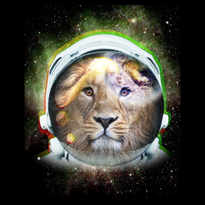 King Of The Universe Lion Space Astronaut Helmet 16 in Basic Backpack