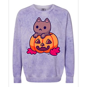 Kitten In pumpkin Cute Halloween Colorblast Crewneck Sweatshirt