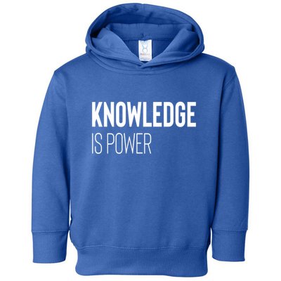 Knowledge Is Power Gift Toddler Hoodie