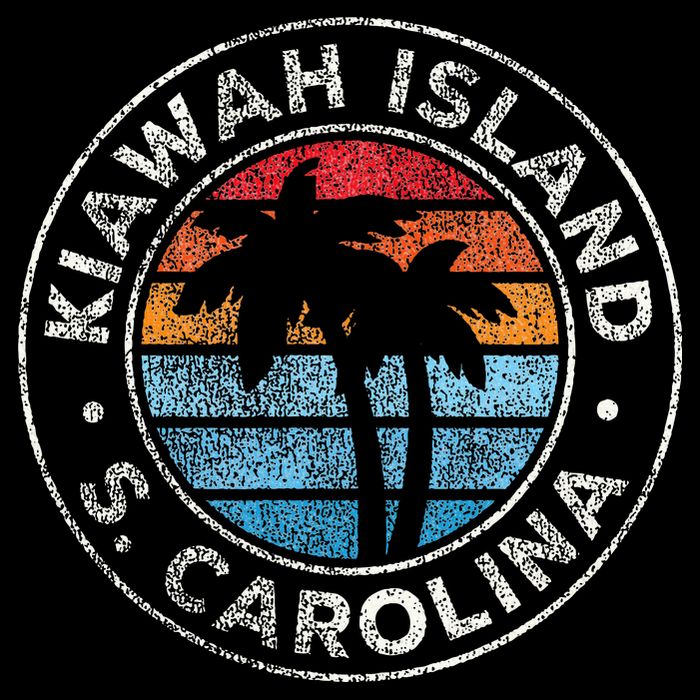 Kiawah Island South Carolina Sc Vintage Toddler T-Shirt