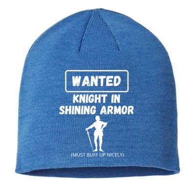 Knight In Shining Armor Sarcastic Rude Singles Dating Saying Gift Sustainable Beanie