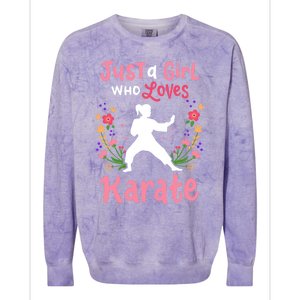 Karate Just A Who Loves Karate Gift Colorblast Crewneck Sweatshirt