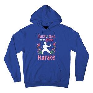 Karate Just A Who Loves Karate Gift Hoodie