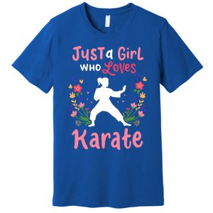 Karate Just A Who Loves Karate Gift Premium T-Shirt