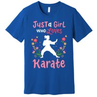 Karate Just A Who Loves Karate Gift Premium T-Shirt