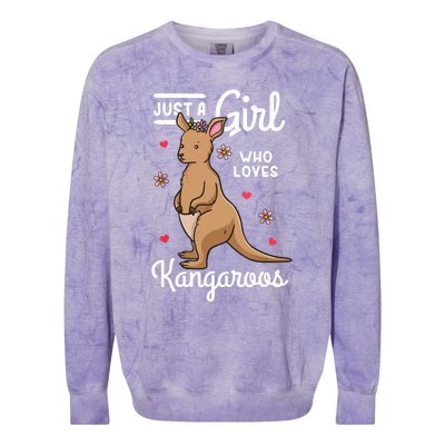 Kangaroo Just A Girl Who Loves Kangaroos Gift Colorblast Crewneck Sweatshirt