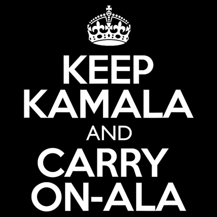 Keep Kamala And Carry Onala! Calm President Harris Meme Toddler T-Shirt