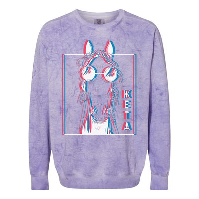 Keta Ketamine Horse Rave Dj Party Techno Colorblast Crewneck Sweatshirt