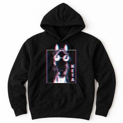 Keta Ketamine Horse Rave Dj Party Techno Hoodie