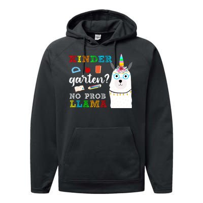 Kindergarten Performance Fleece Hoodie