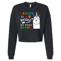 Kindergarten Cropped Pullover Crew