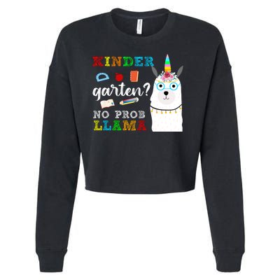 Kindergarten Cropped Pullover Crew