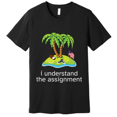Khive Kamala I Understand The Assignment Premium T-Shirt