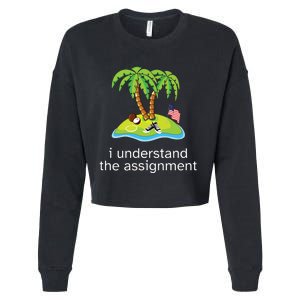 Khive Kamala I Understand The Assignment Cropped Pullover Crew