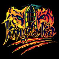 Kingda Ka City Backpack