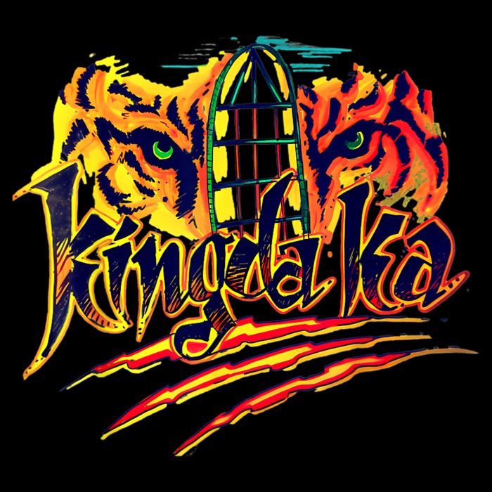 Kingda Ka Crop Top