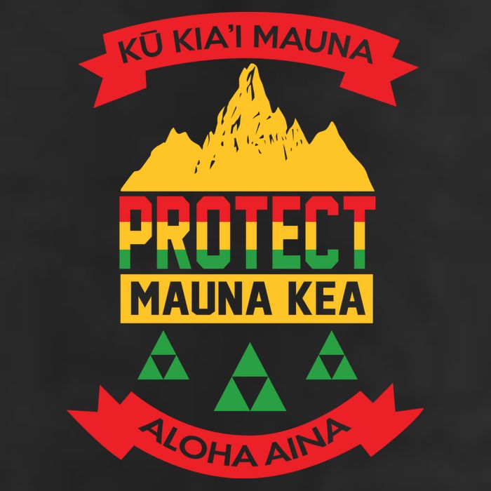 Ku Kia'i Mauna Protect Mauna Kea Aloha Aina 11oz C Handle Ceramic Mug
