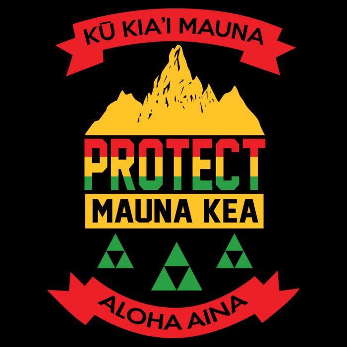 Ku Kia'i Mauna Protect Mauna Kea Aloha Aina Toddler T-Shirt