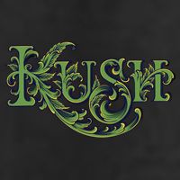 Kush Adult Drive Performance Visor
