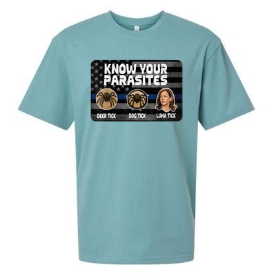 Kamala Know Your Parasites Deer Tick Dog Tick Luna Tick Sueded Cloud Jersey T-Shirt