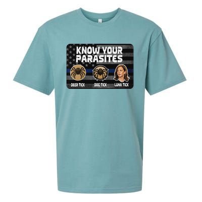 Kamala Know Your Parasites Deer Tick Dog Tick Luna Tick Gift Sueded Cloud Jersey T-Shirt