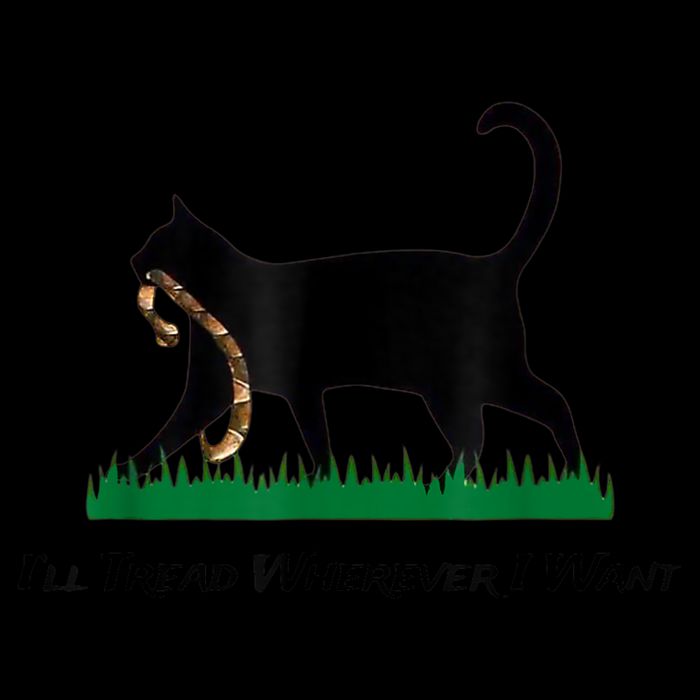 Kamala Lady Cat 2024 ILl Tread Wherever I Want 16oz Travel Tumbler