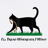 Kamala Lady Cat 2024 ILl Tread Wherever I Want Cooling Performance Crew T-Shirt