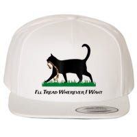 Kamala Lady Cat 2024 ILl Tread Wherever I Want Wool Snapback Cap
