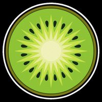 Kiwi Lazy DIY Halloween Costume Funny Tropical Sliced Fruit Wool Snapback Cap