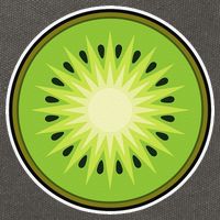 Kiwi Lazy DIY Halloween Costume Funny Tropical Sliced Fruit Cotton Canvas Backpack