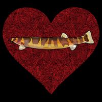 Kuhli Loach Valentines Day Fish Love Fingerprint Cool Gift Mug