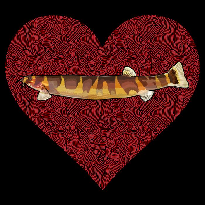 Kuhli Loach Valentines Day Fish Love Fingerprint Cool Gift Mug