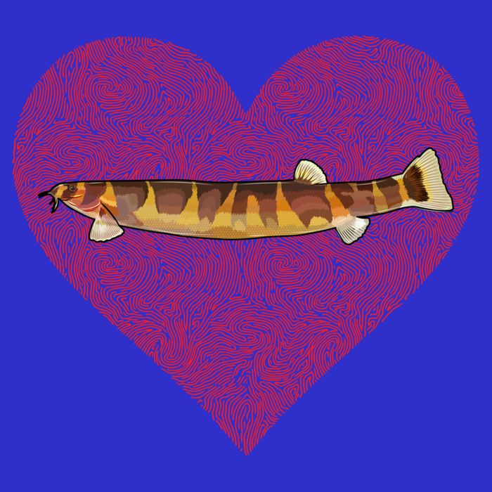 Kuhli Loach Valentines Day Fish Love Fingerprint Cool Gift Zip Tote Bag