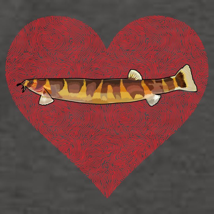 Kuhli Loach Valentines Day Fish Love Fingerprint Cool Gift Vector Backpack