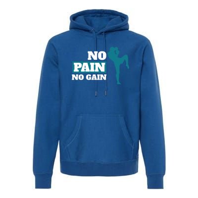 Kickboxer Martial Artist Gift No Pain No Gain Motivational Meaningful Gift Premium Hoodie