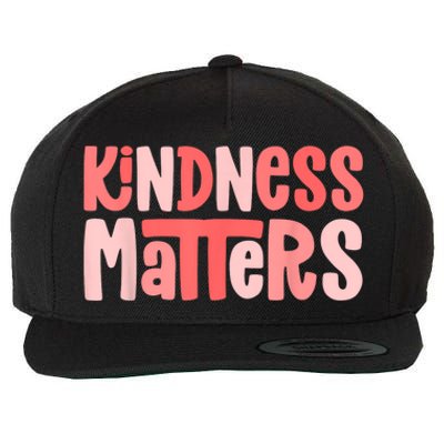 Kindness Matters Anti Bullying Shirts Teacher Gift Kind Wool Snapback Cap