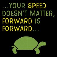 Keep Moving Forward Turtle Positive Motivational Message T-Shirt