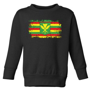 Kanaka Maoli Hawaiian Flag Pride Distressed Sovereign Gifts Toddler Sweatshirt