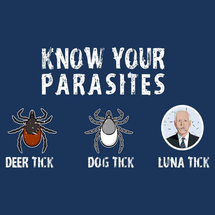 Know Your Parasites Anti Joe Biden Toddler T-Shirt
