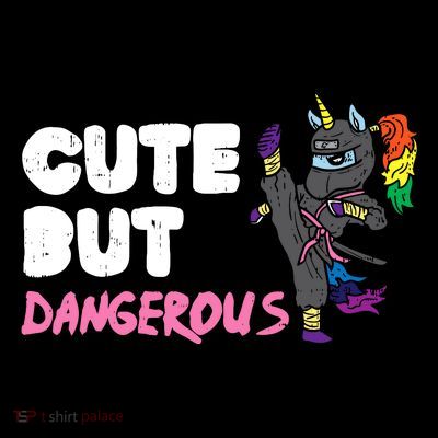Karate Ninja Unicorn Cute Dangerous Martial Arts Girl Gift T-Shirt