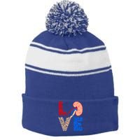 Kidney Organ Donation Love Dialysis Patients Nurse Nursing Gift Stripe Pom Pom Beanie