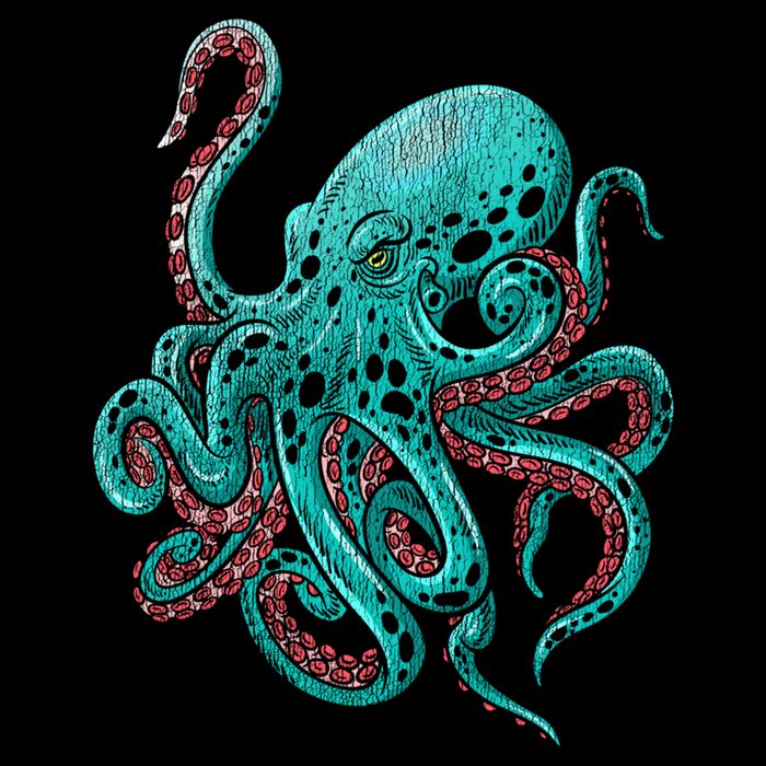 Kraken Octopus Gift Cooling Performance Crew T-Shirt