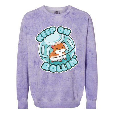 Keep On Rolling Cute Hamster Hammy Owner Pet Lover Gift Colorblast Crewneck Sweatshirt