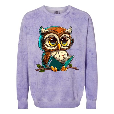 Kawaii Owl Reads Book Reading Bookworm Library Book Colorblast Crewneck Sweatshirt